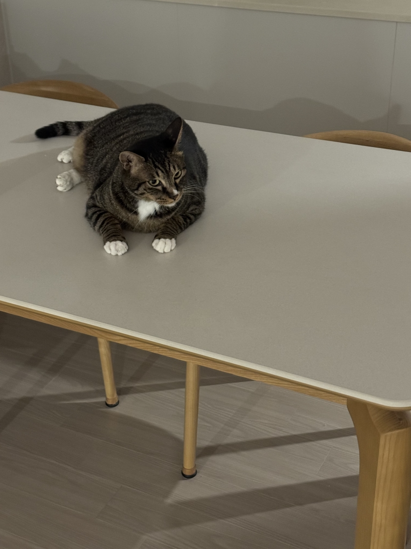 8abf163a99aa5.png