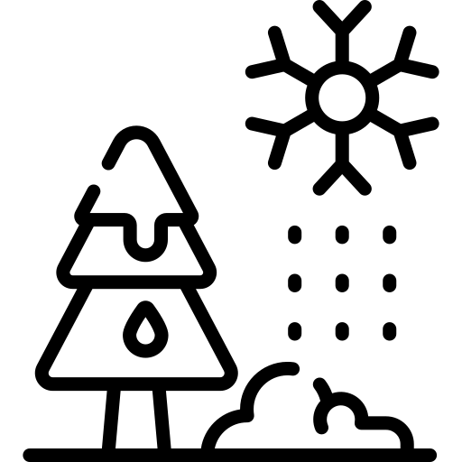 09b6993bb2ce9.png