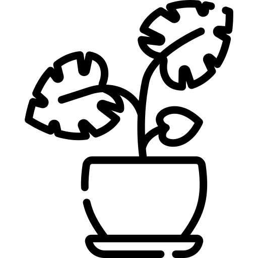 60955b5d6a92f.png