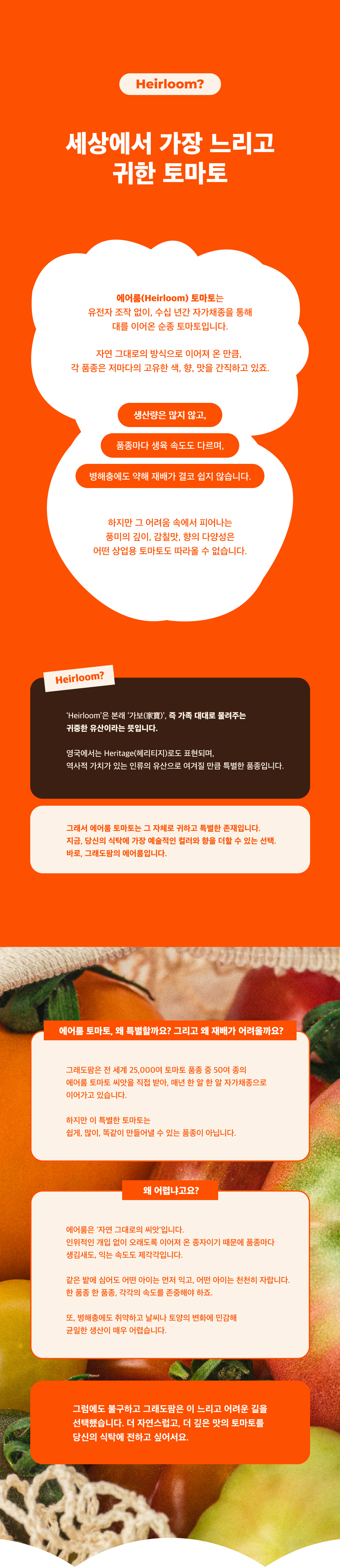 [2026 봄작기] 유기농 에어룸토마토 랜덤믹스 3kg