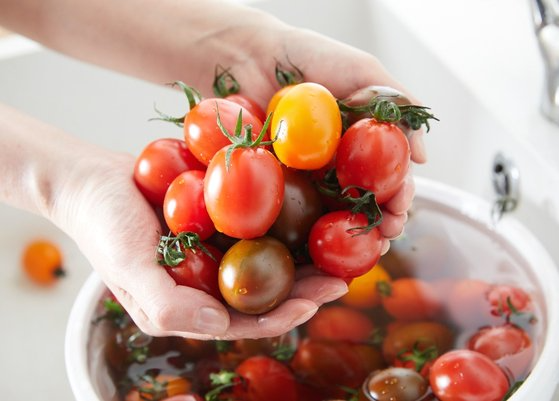 토마토는 도드라진 한 가지 맛이 아닌 복합적인 맛을 느낄 수 있다. 사진 그래도팜