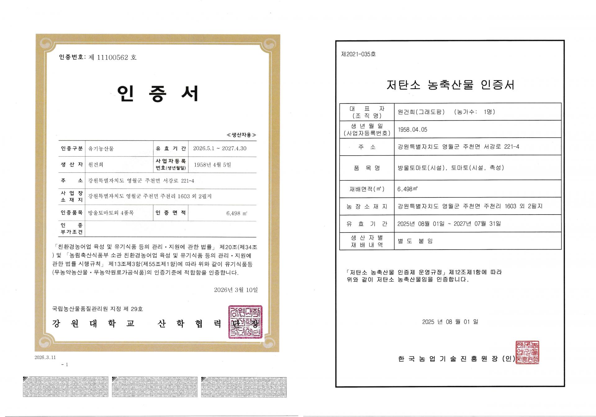 2026 유기농 햇 비트 뿌리