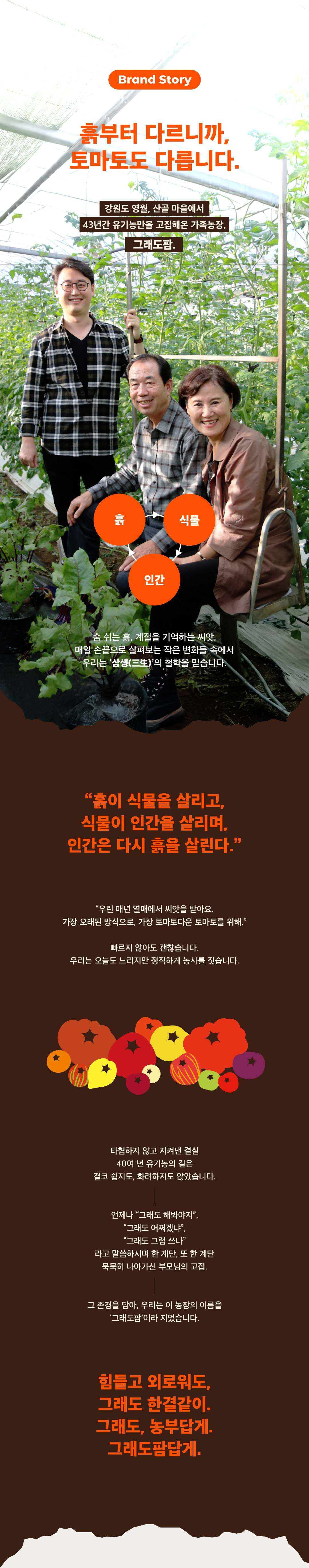 [2026 봄작기] 유기농 에어룸토마토 랜덤믹스 3kg