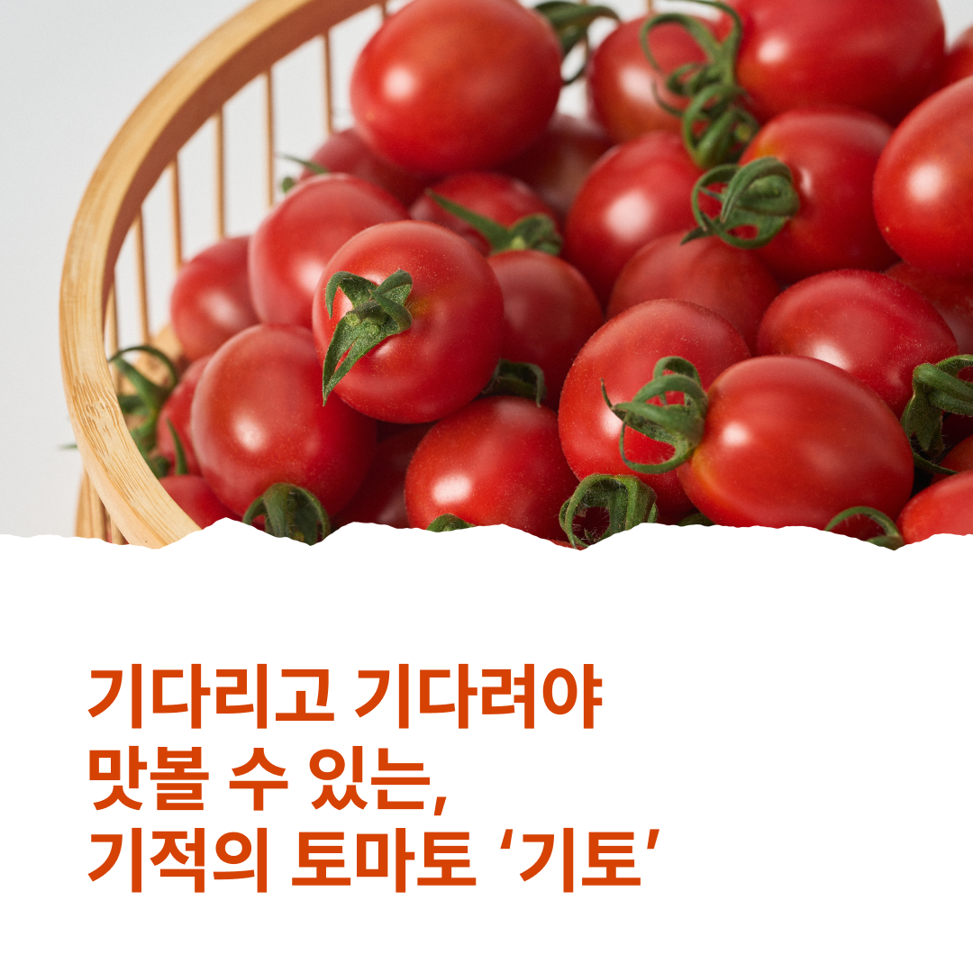 f03161336b930.png