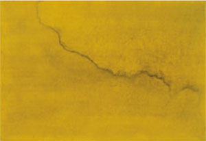 96e2af11e985b.jpg