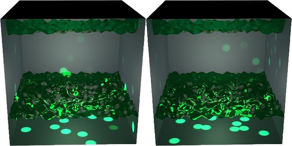 98e9ae57b6acc.png