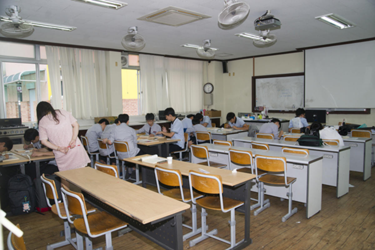 1cca15251df4a.jpg