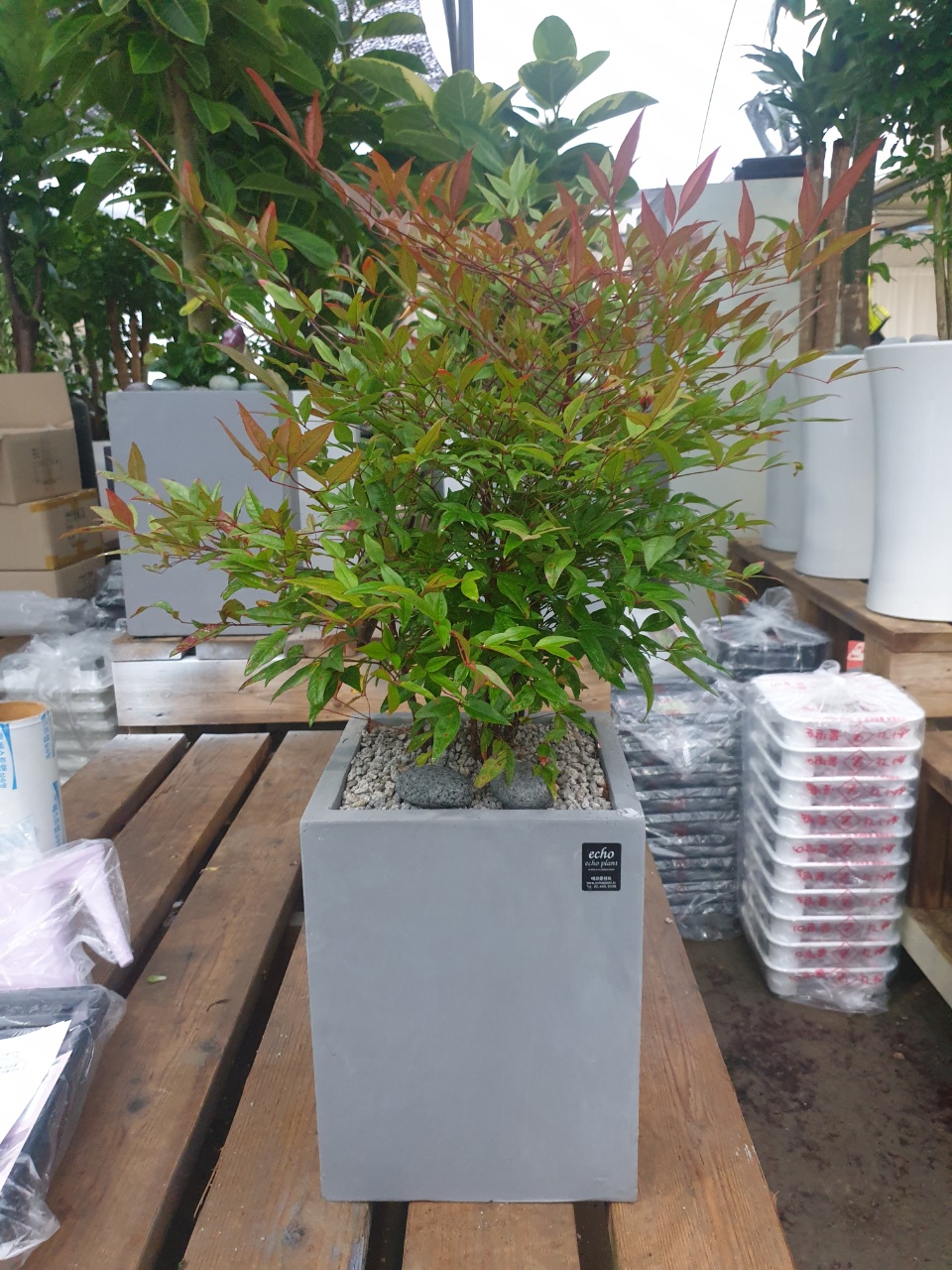 0703e84d488ca.jpg
