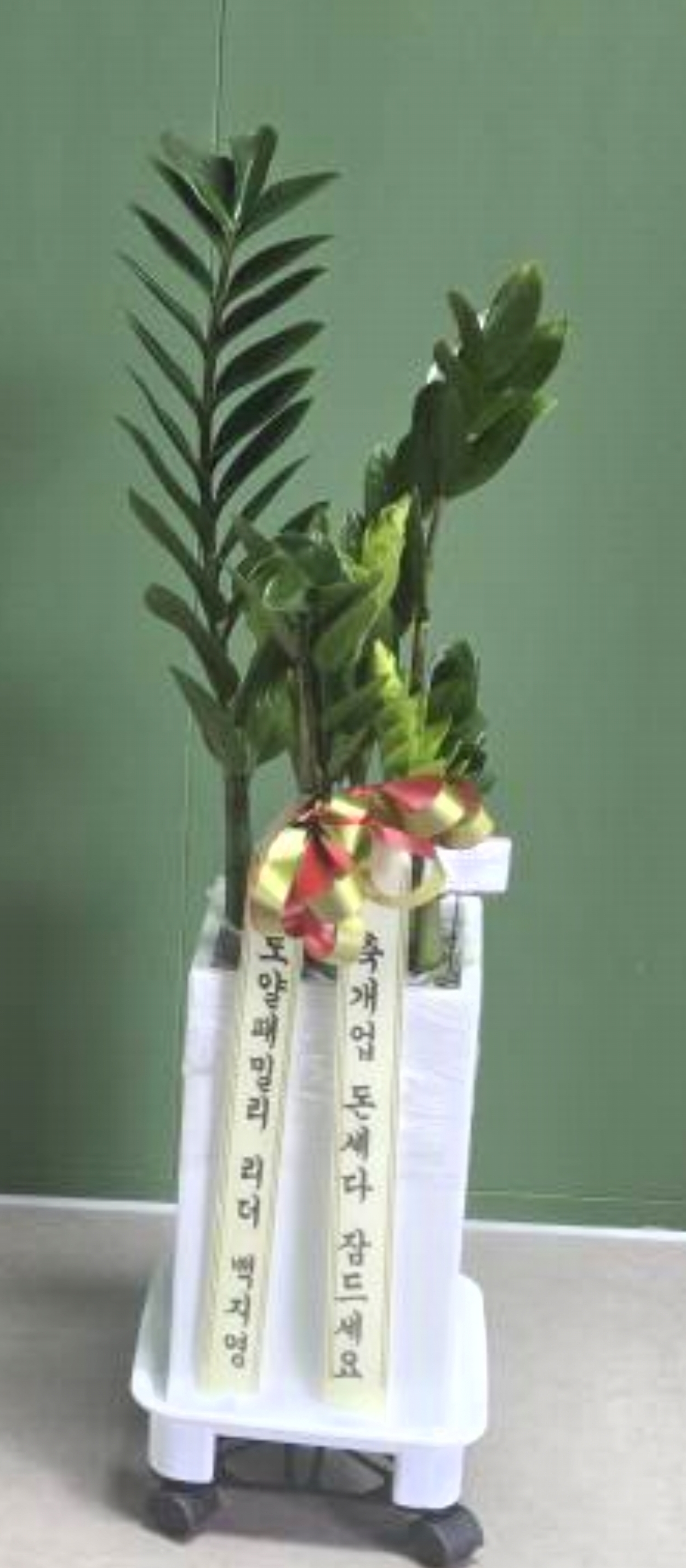 6cf0d5670fd93.jpg