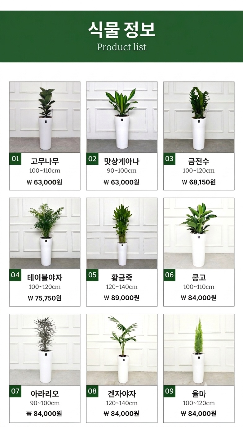 인기 개업, 집들이, 승진, 축하 화분 24종