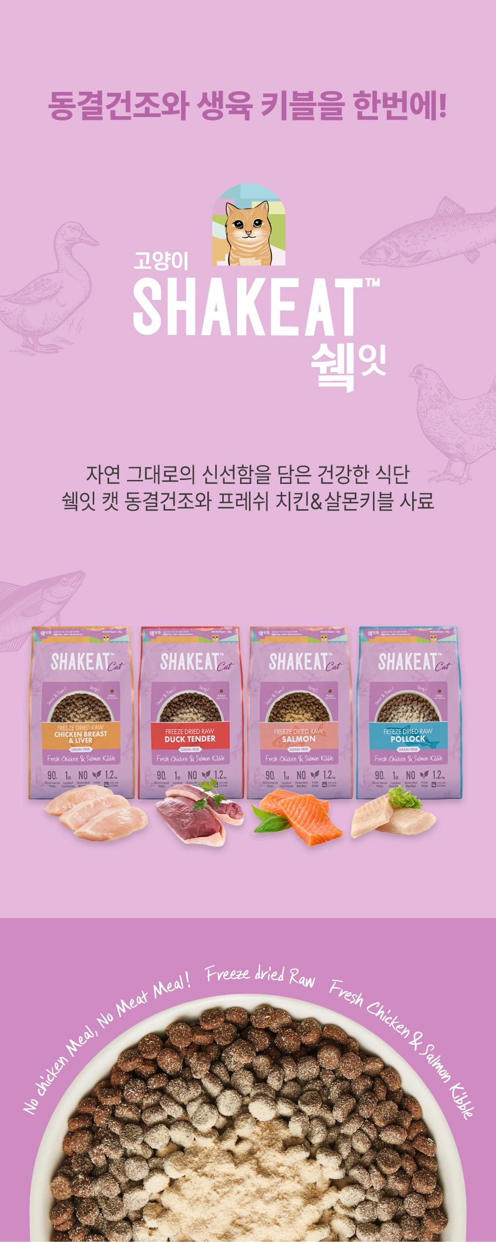 쉨잇 캣 동결건조 연어와 프레시 치킨&살몬 키블 1.2kg/3kg