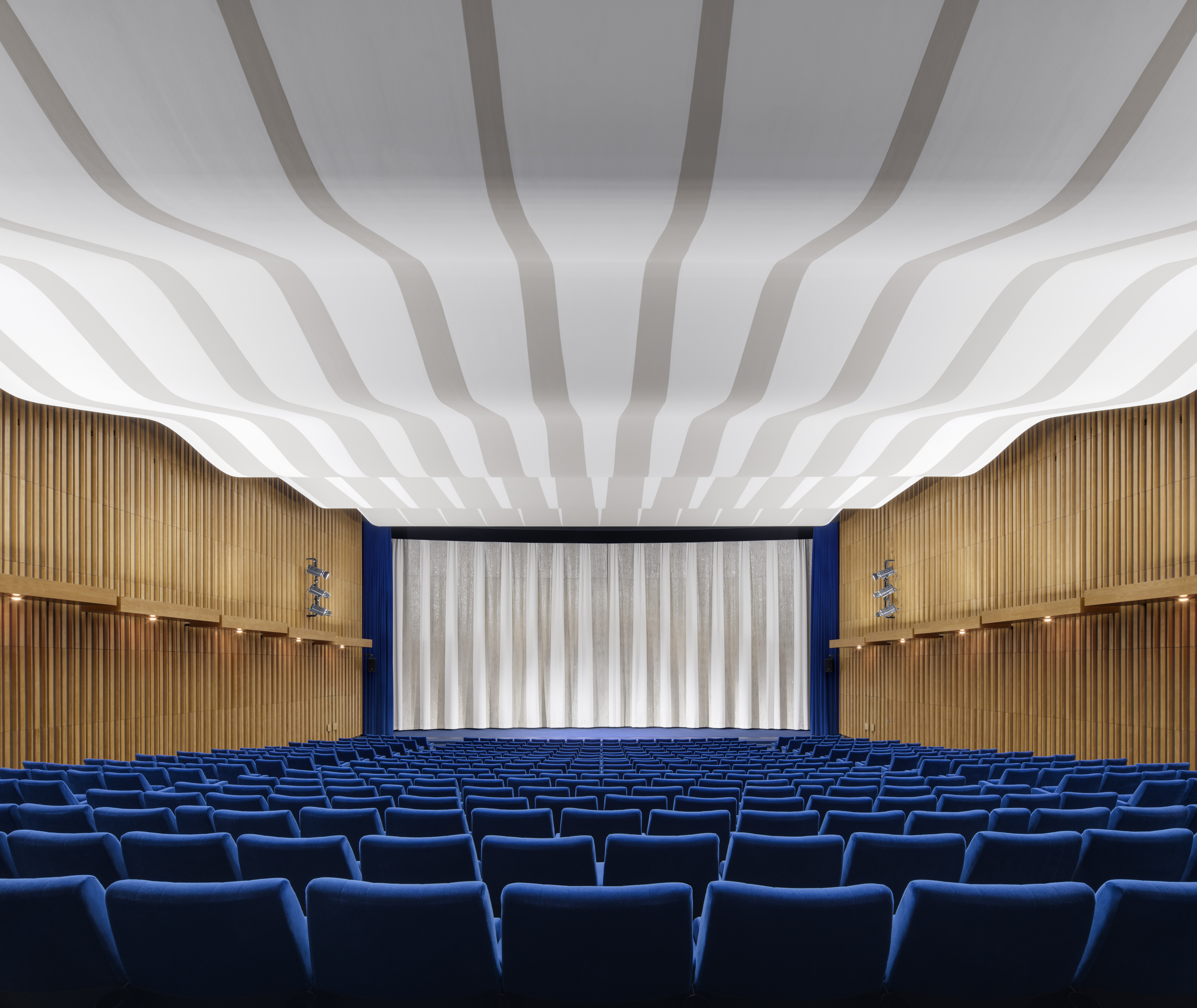 25f51e74a515b.jpg