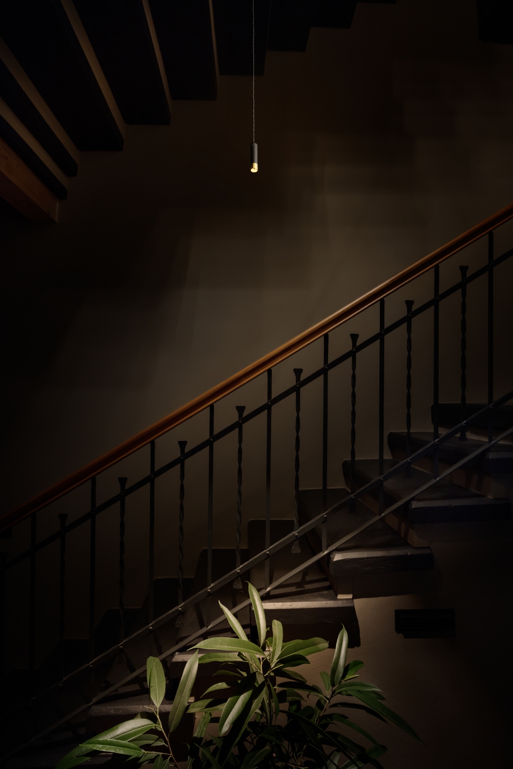 971406d1a9201.jpg