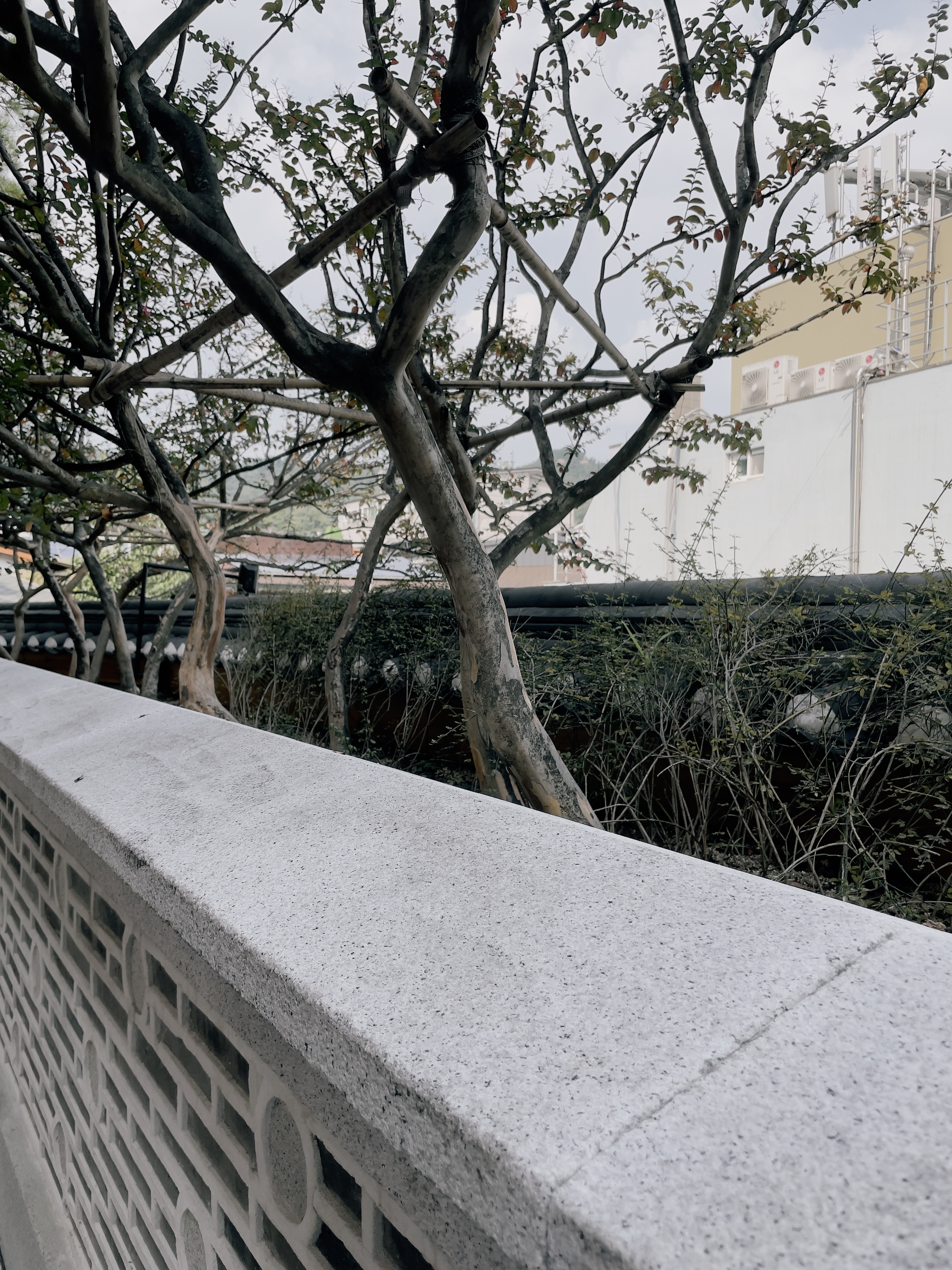 a34ddea365e96.jpg