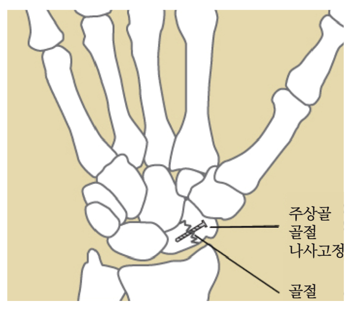 05ab175923e73.jpg