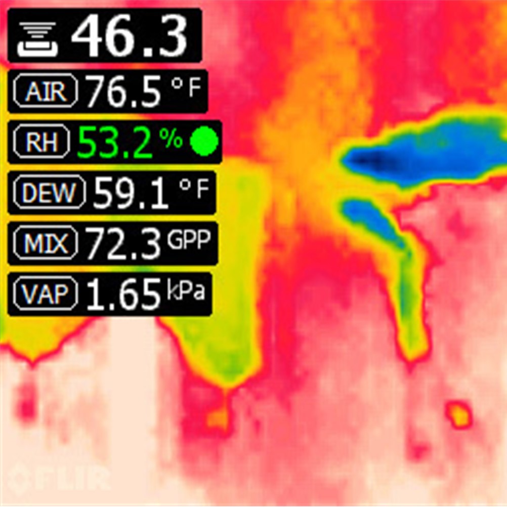 FLIR MR277 습도계 및 MSX® 적외선 카메라를 탑재한 건물 검사 시스템