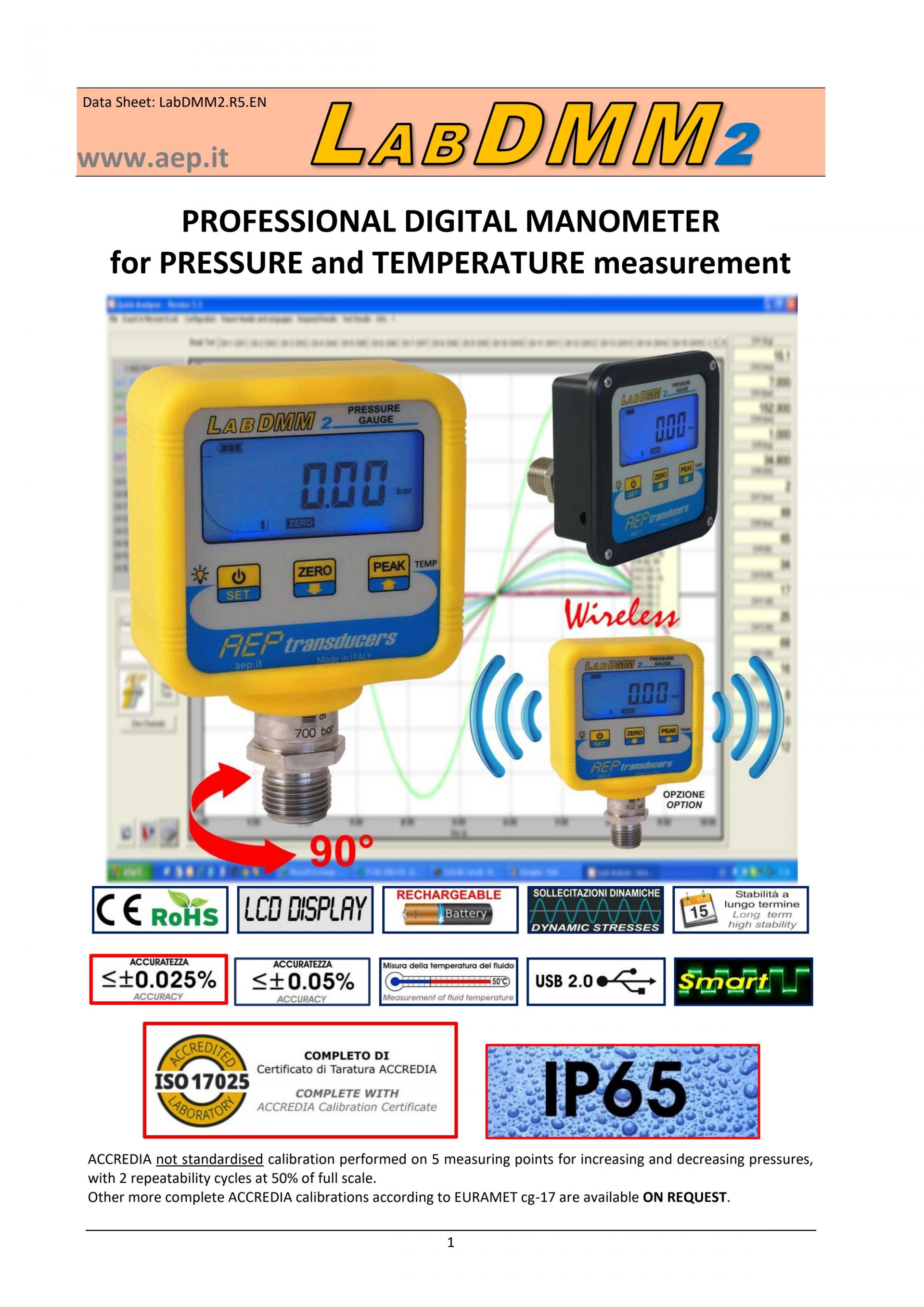 AEP TRANSDUCERS LABDMM2 디지털 압력게이지