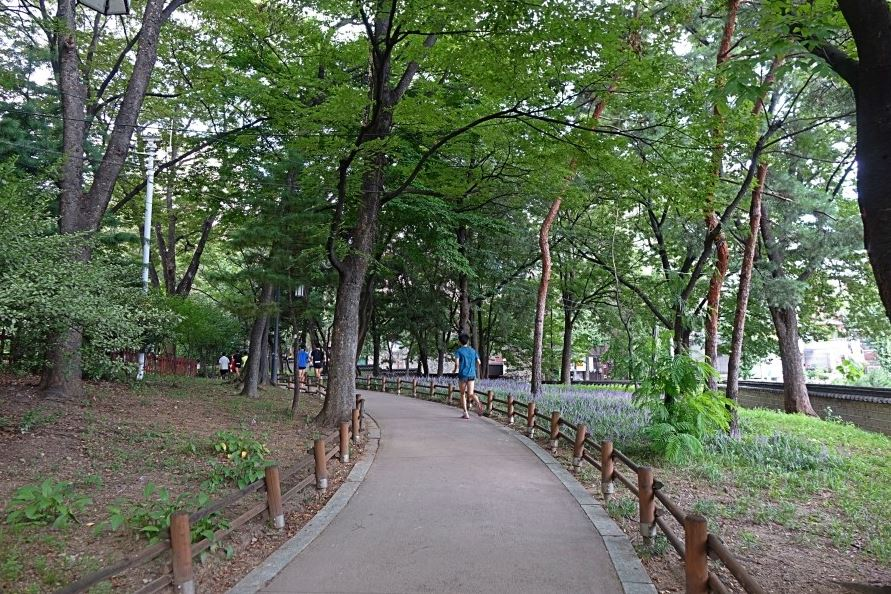 85f9a87f428c3.png