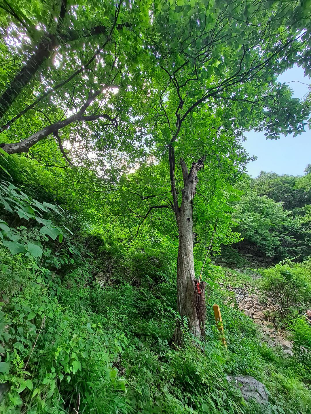0484fe6159743.jpg