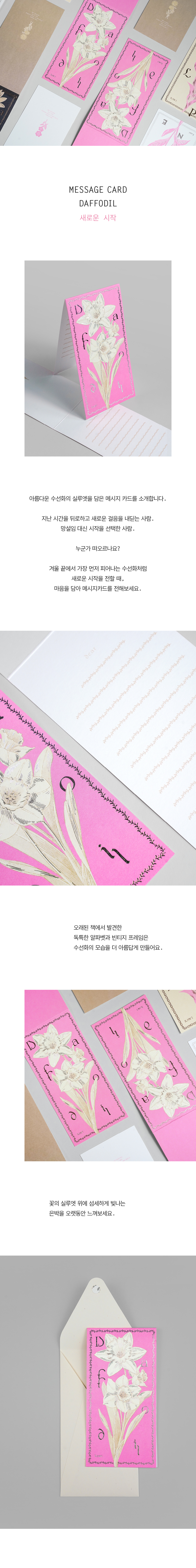 Card : Daffodil 수선화