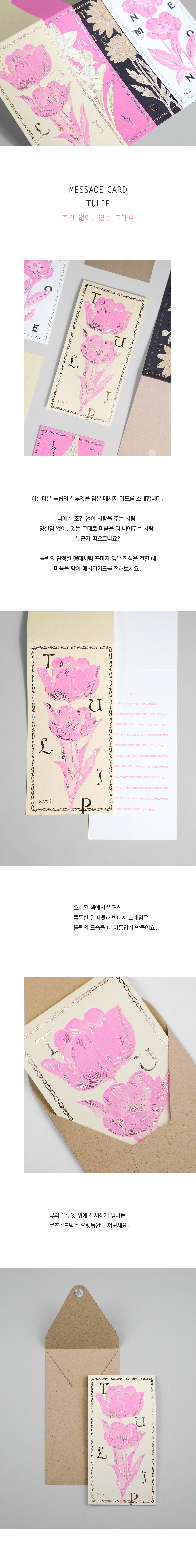 Card : Tulip 튤립