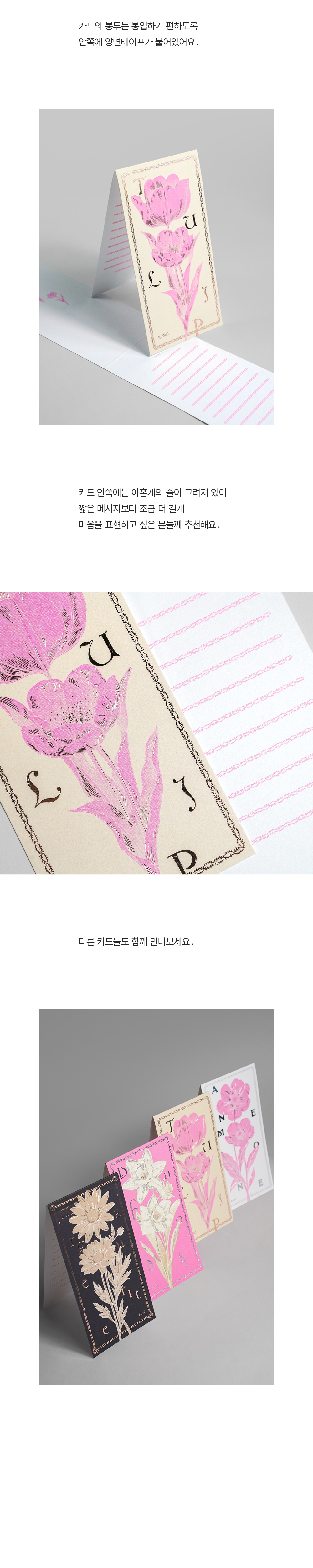 Card : Tulip 튤립