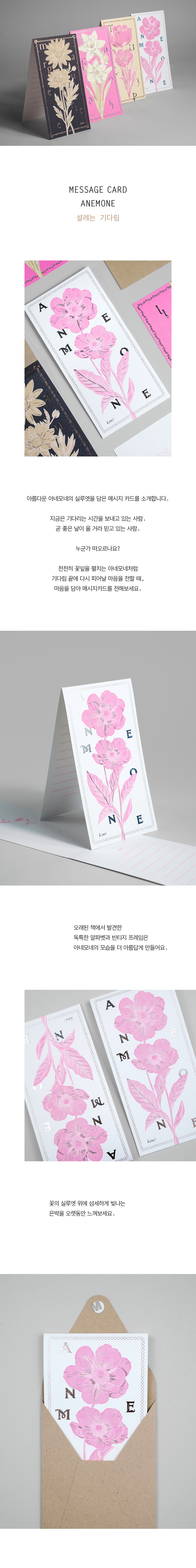Card : Anemone 아네모네