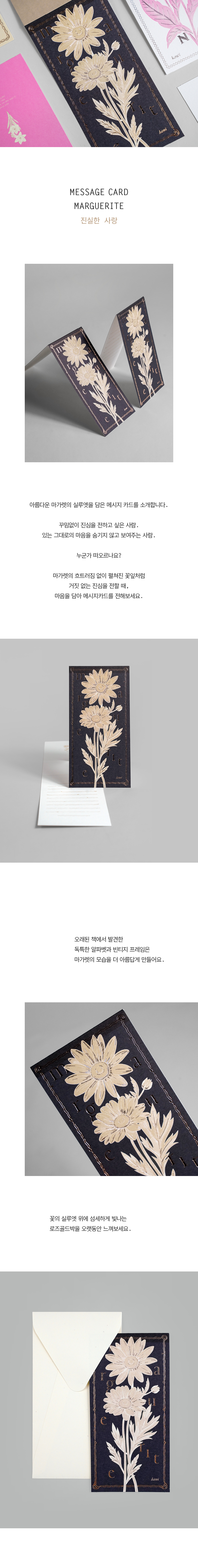 Card : Marguerite 마가렛