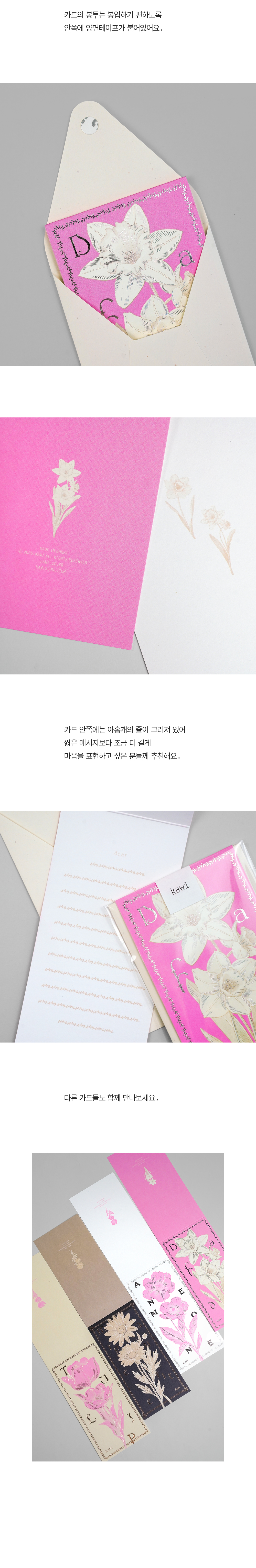 Card : Daffodil 수선화