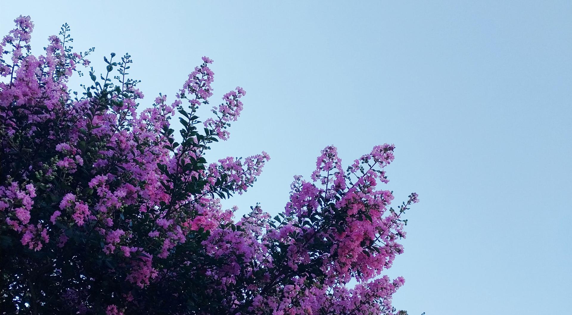 534f660e1d6e3.jpg