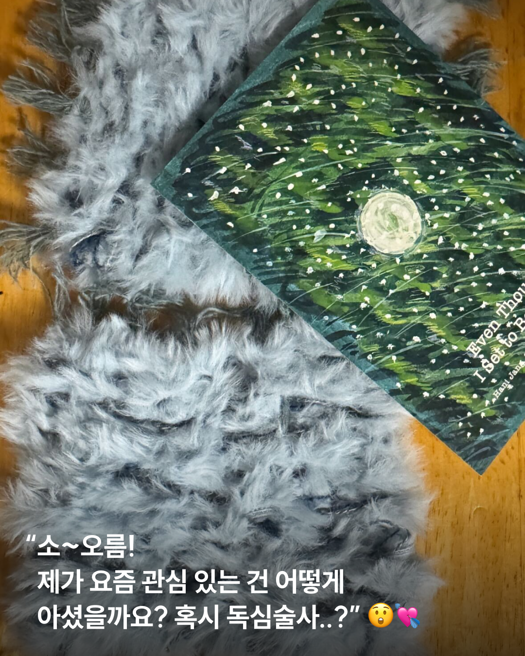 921bd8050e09a.png