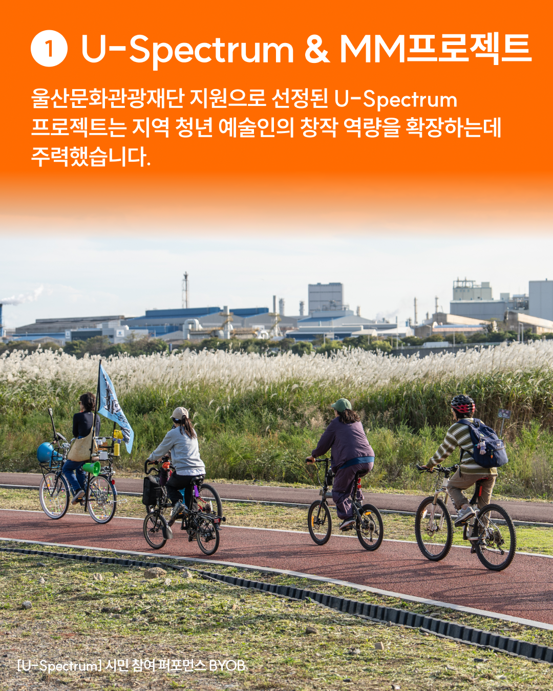 f3446a971bcc1.png