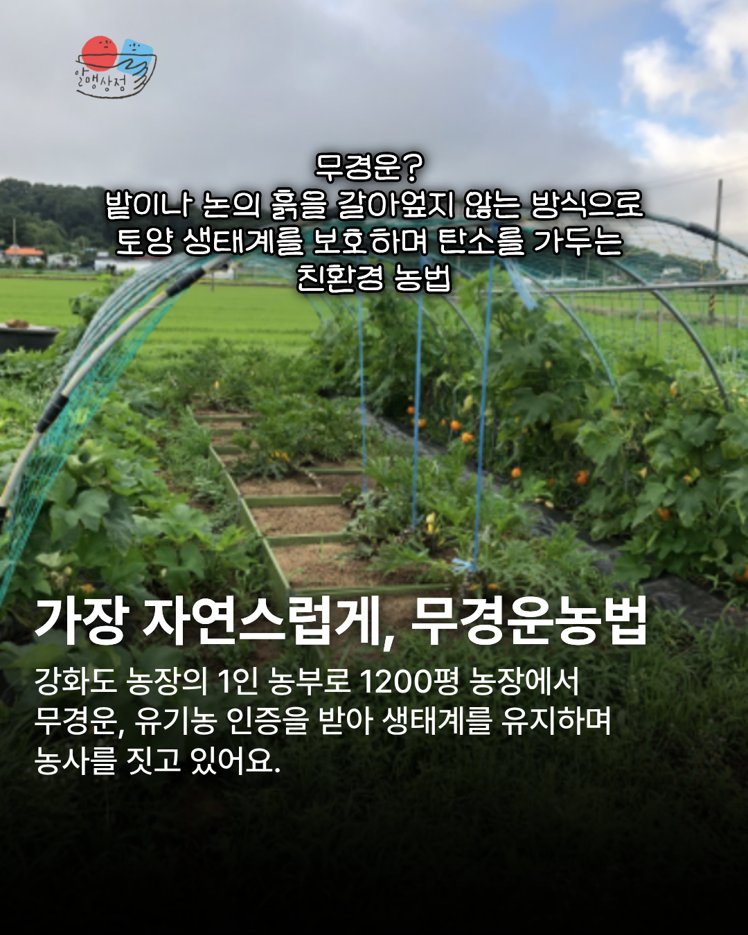 75aea95a6919a.png