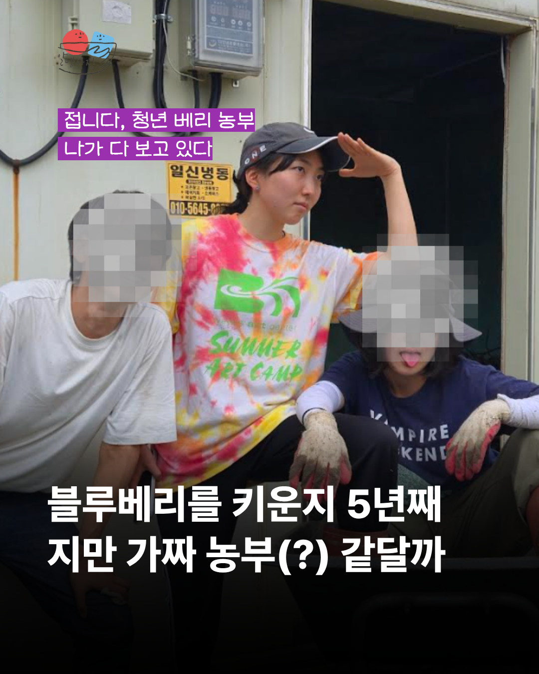 96d4d23199778.png