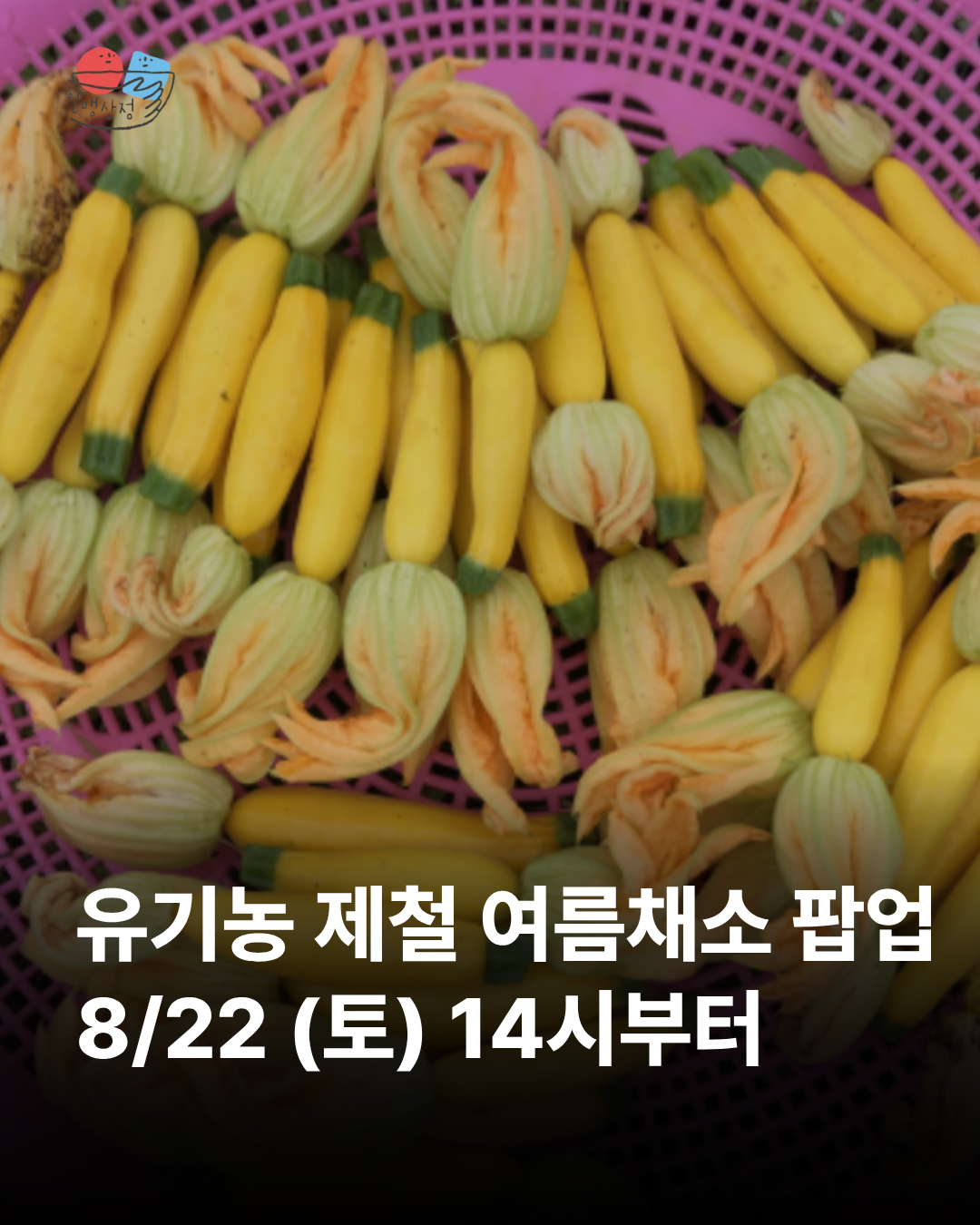 f774c8a19c4dc.png