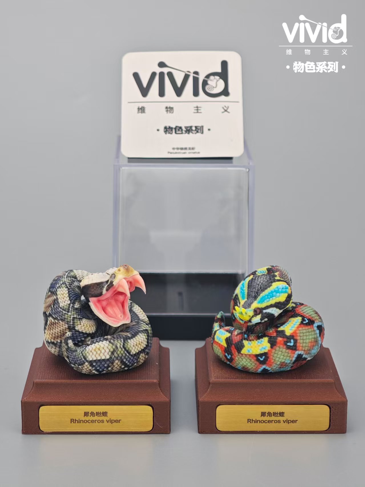 (예약 상품) Vivid스튜디오 물색 시리즈 가분 바이퍼