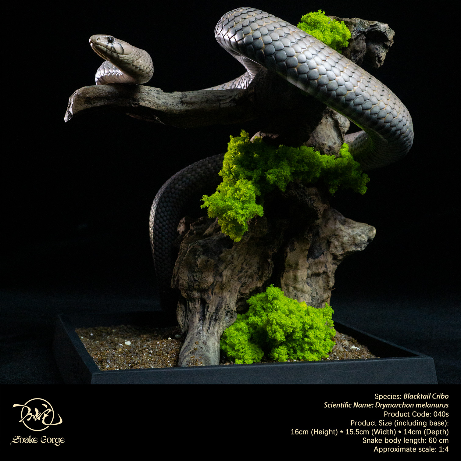 (예약 상품) Snake Gorge스튜디오 블랙테일 크리보