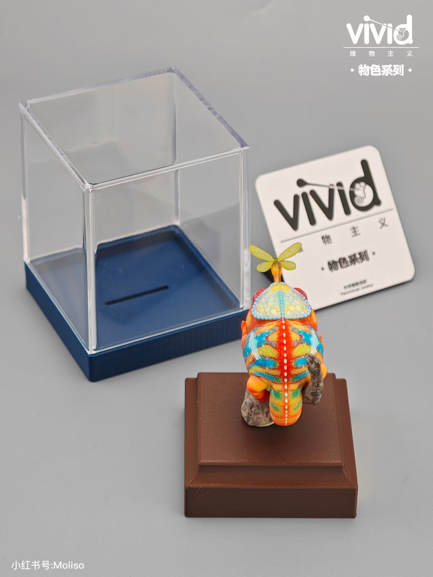 (예약 상품) Vivid스튜디오 물색 시리즈 팬서카멜레온
