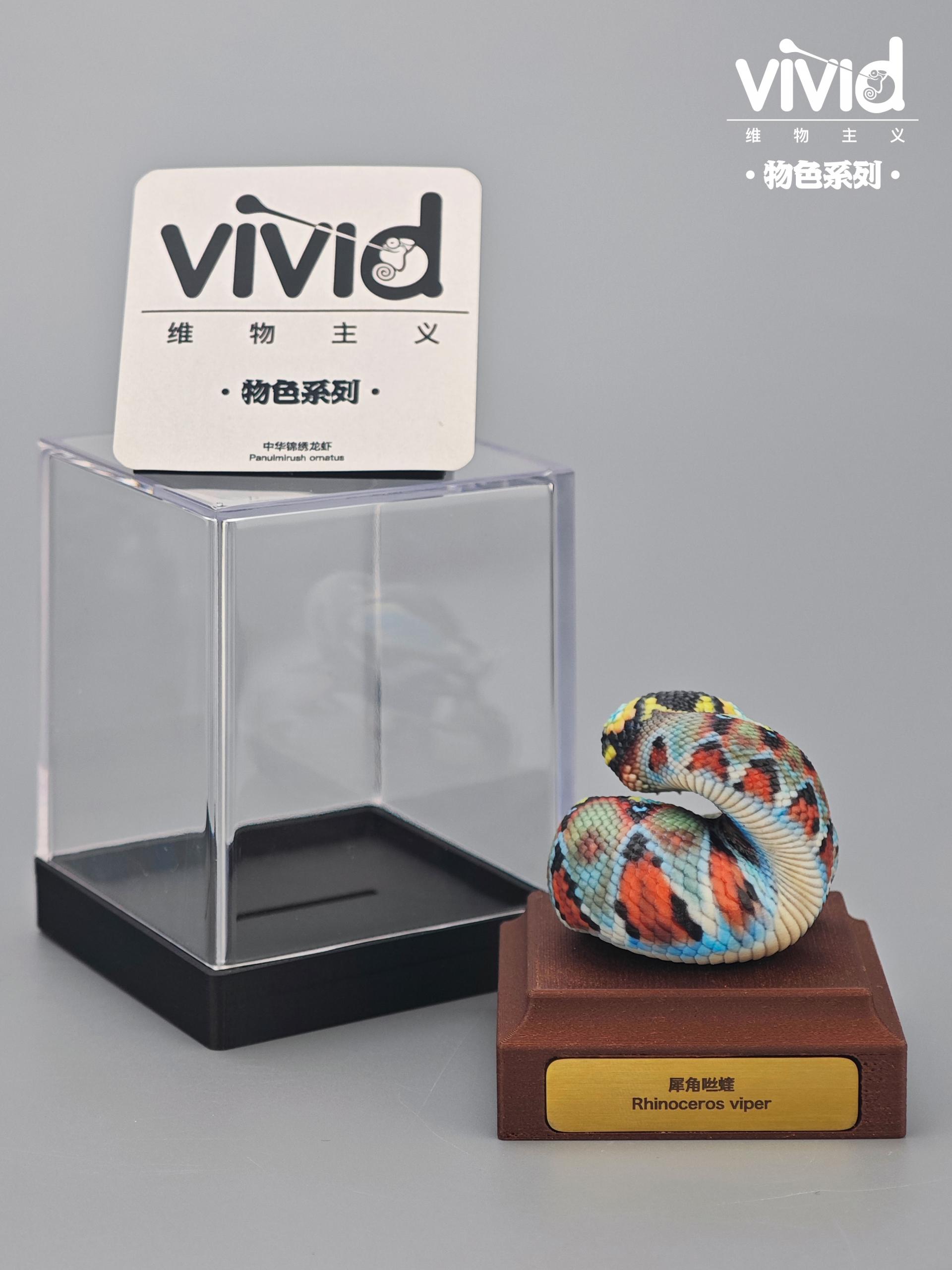 (예약 상품) Vivid스튜디오 물색 시리즈 라이노 바이퍼