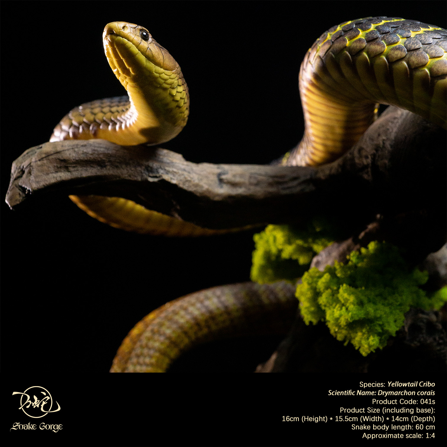 (예약 상품) Snake Gorge스튜디오 옐로우테일 크리보