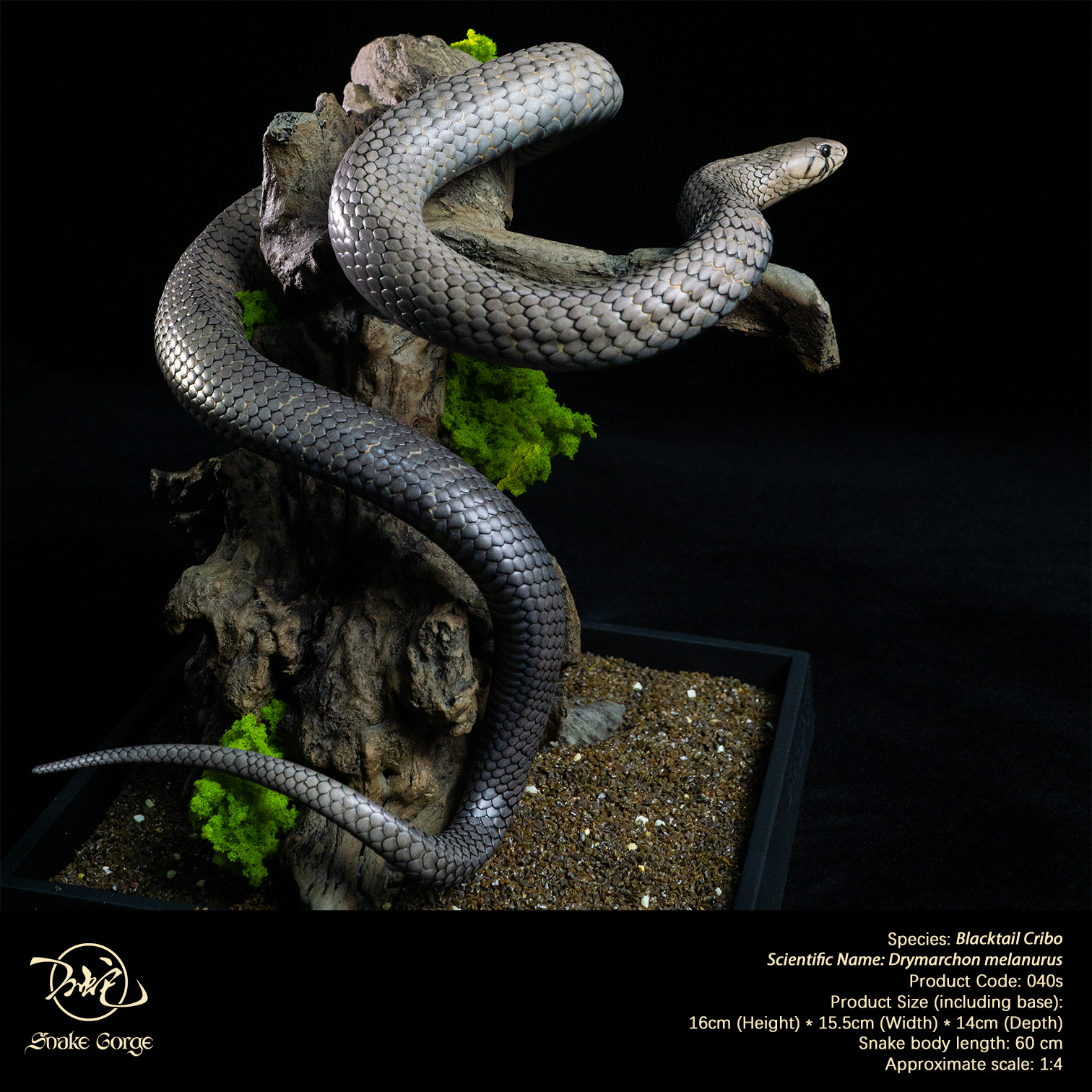 (예약 상품) Snake Gorge스튜디오 블랙테일 크리보