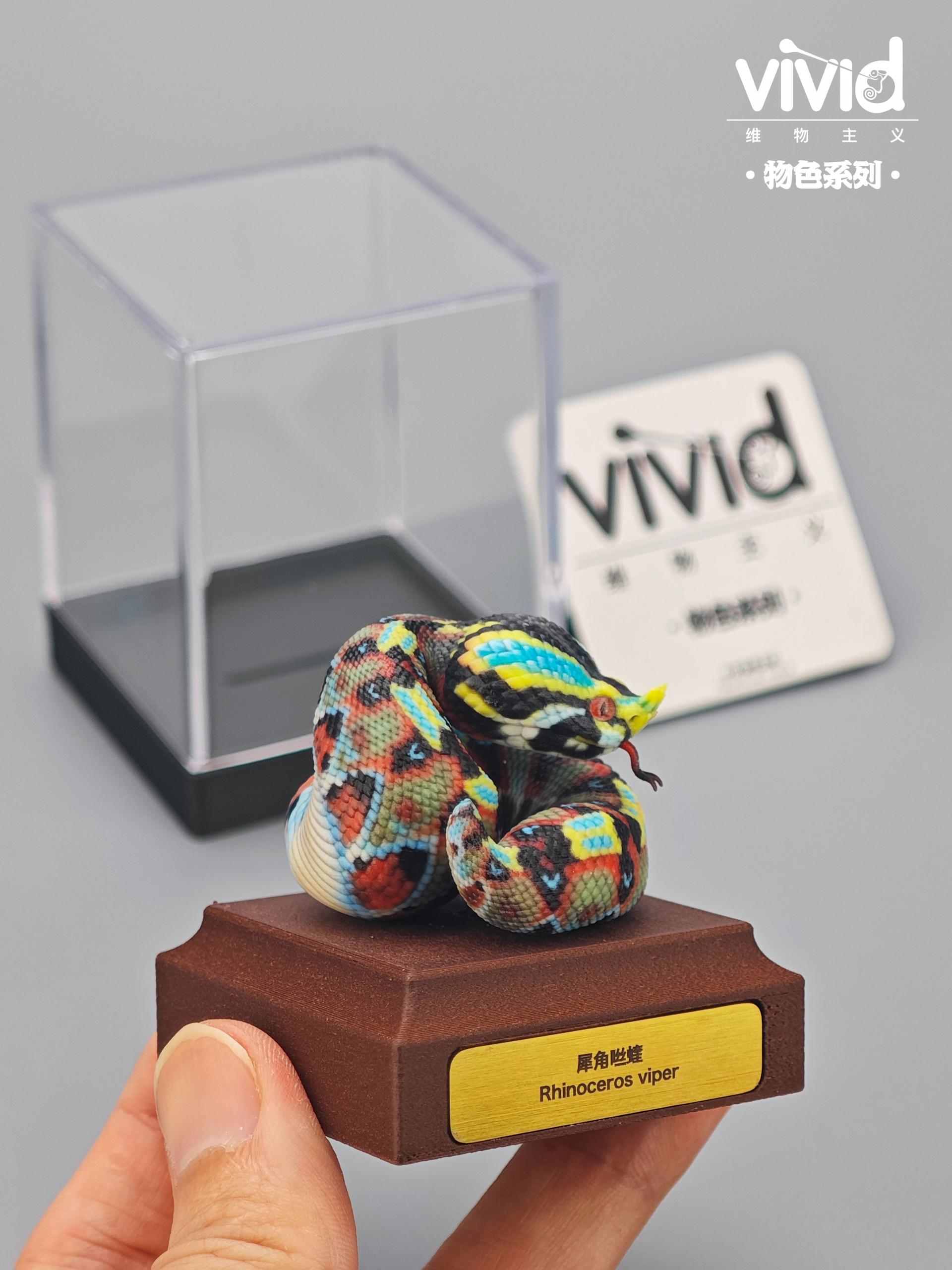 (예약 상품) Vivid스튜디오 물색 시리즈 라이노 바이퍼