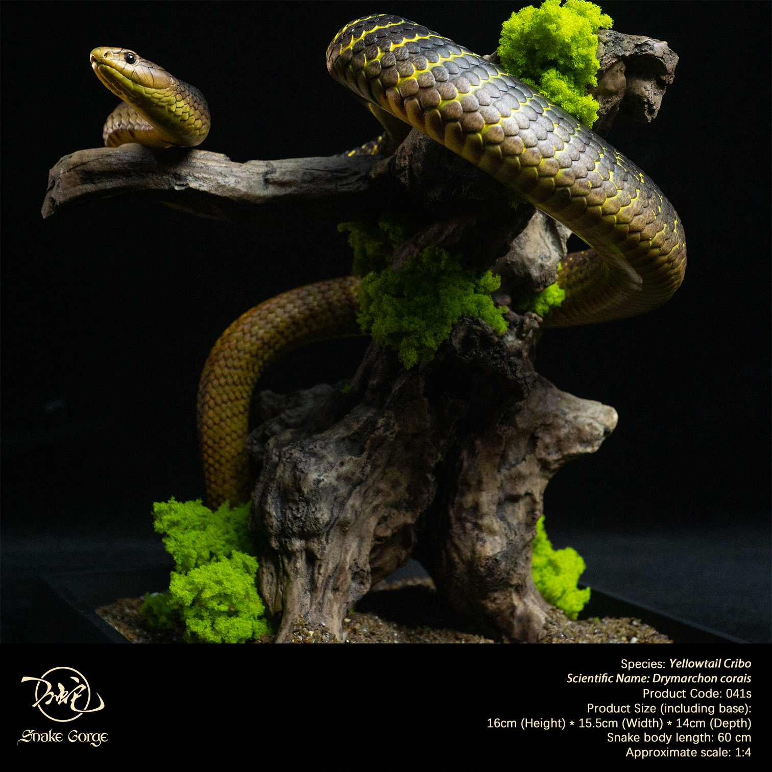 (예약 상품) Snake Gorge스튜디오 옐로우테일 크리보
