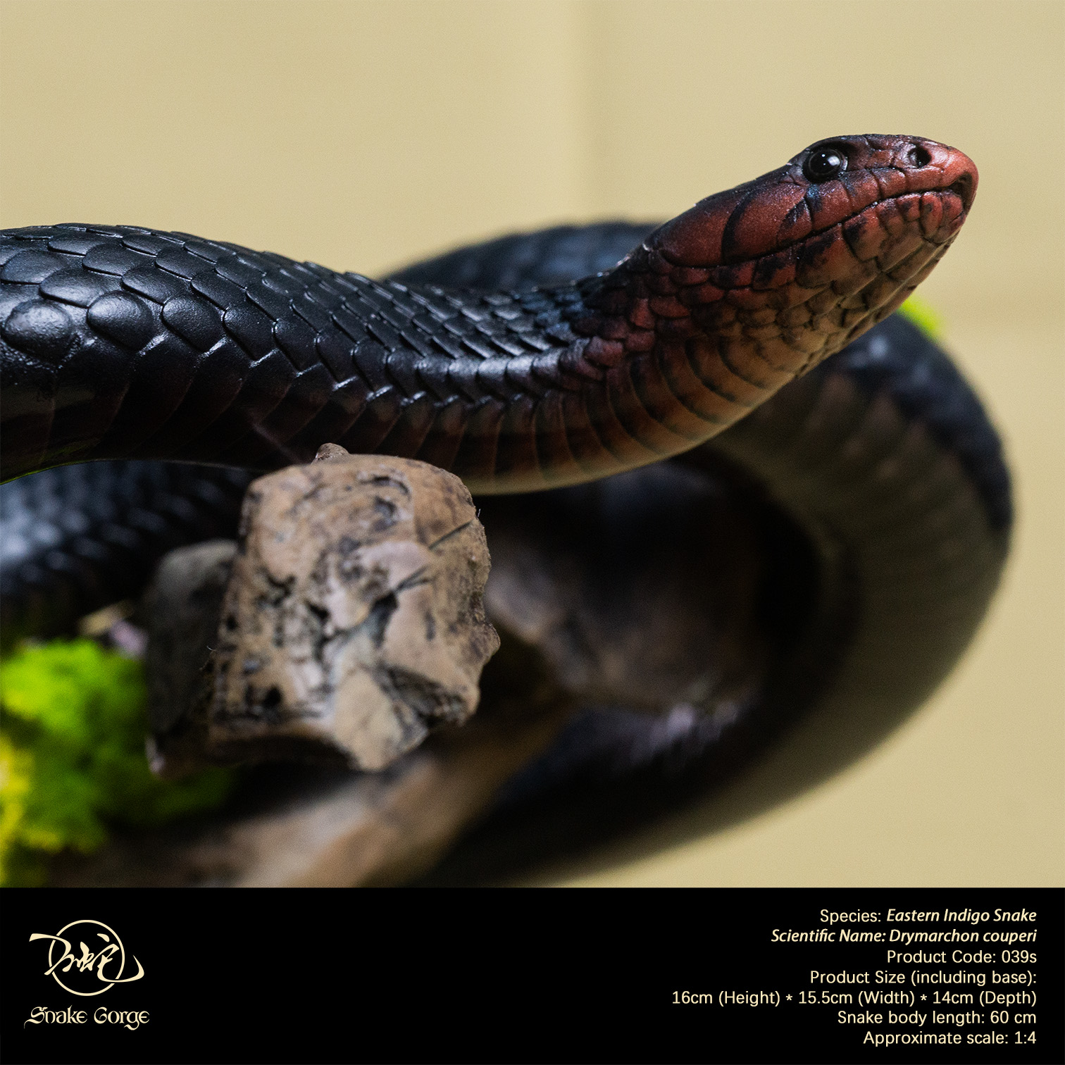 (예약 상품) Snake Gorge스튜디오 동부인디고뱀