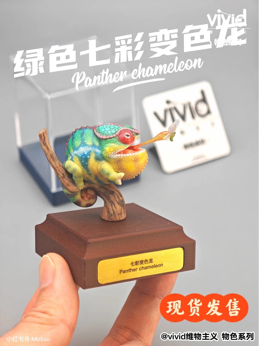 (예약 상품) Vivid스튜디오 물색 시리즈 팬서카멜레온(그린)