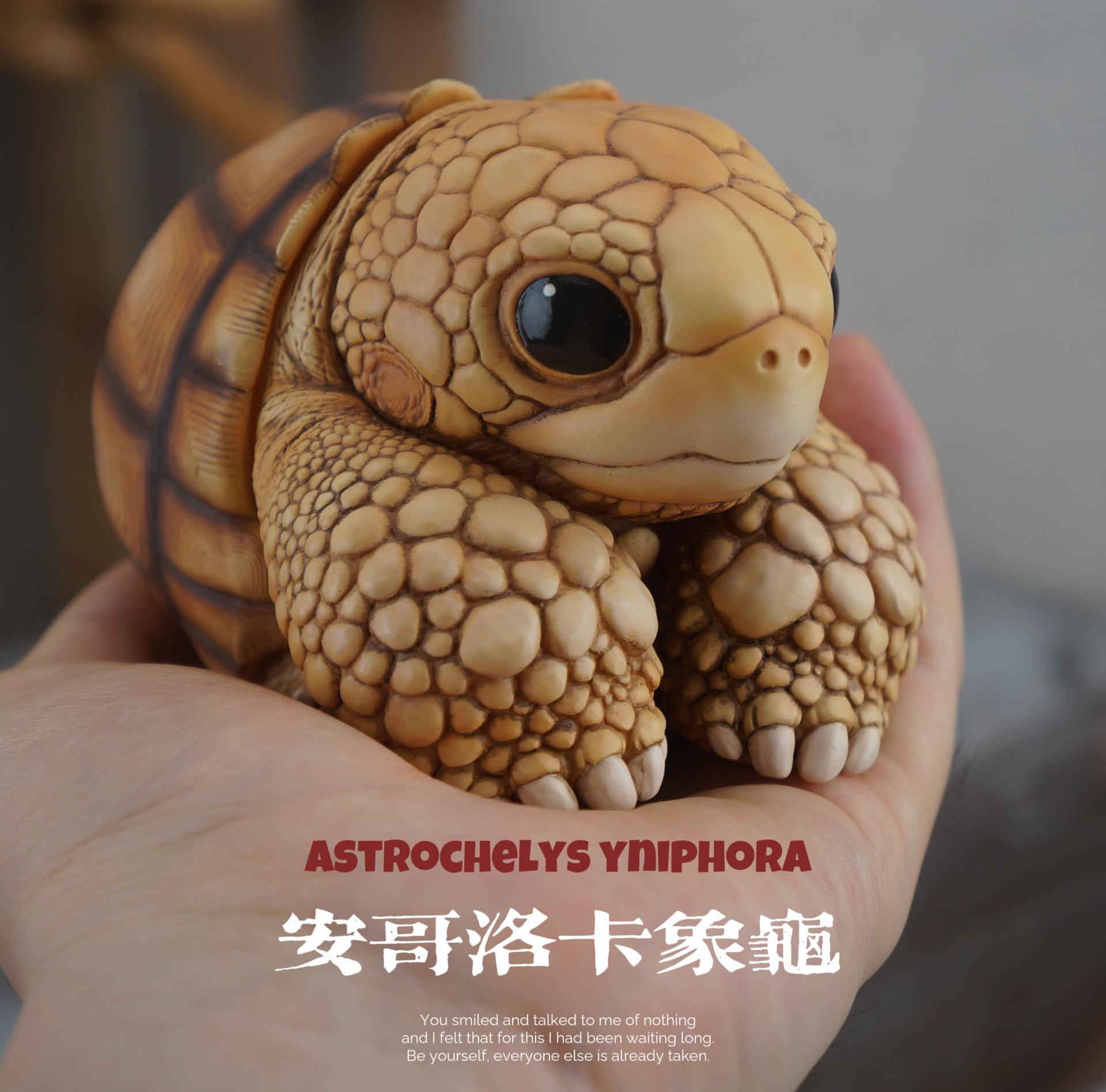 박물지스튜디오 뚠뚠동물원 시리즈 안고노카거북&늑대거북