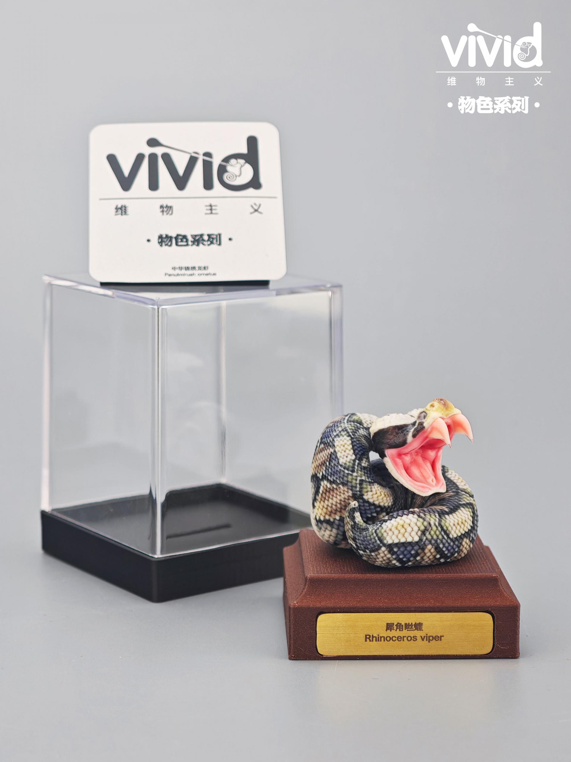 (예약 상품) Vivid스튜디오 물색 시리즈 가분 바이퍼
