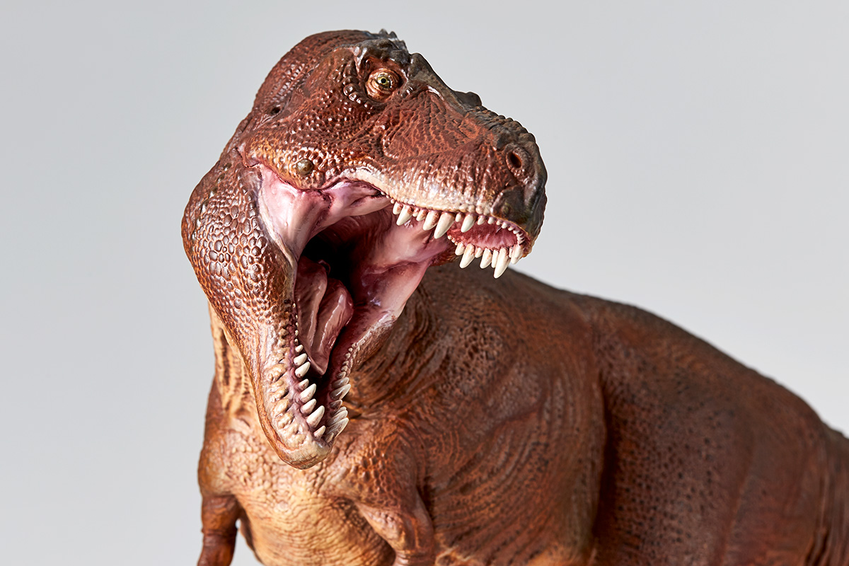 카이요도 NATURE TALES 제6탄 T-REX