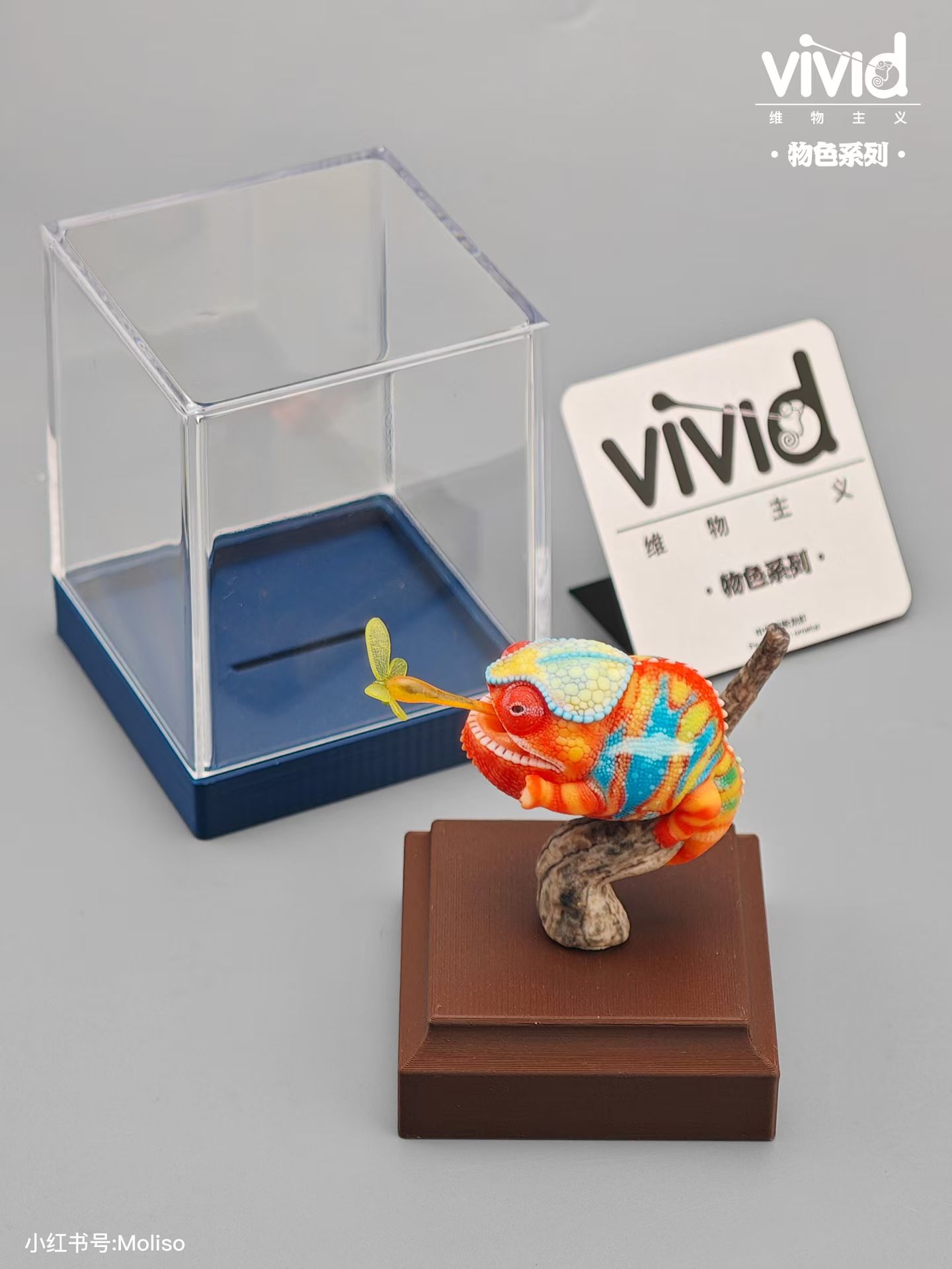 (예약 상품) Vivid스튜디오 물색 시리즈 팬서카멜레온