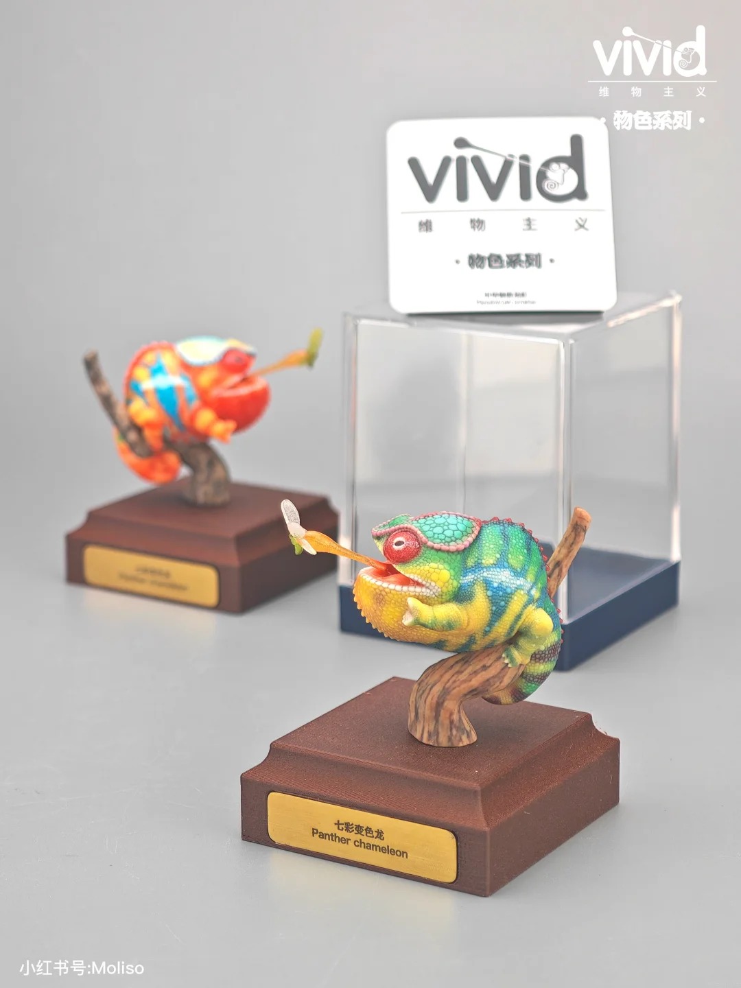 (예약 상품) Vivid스튜디오 물색 시리즈 팬서카멜레온(그린)